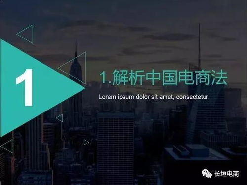 實(shí)戰(zhàn) 中國(guó)電子商務(wù)法解析